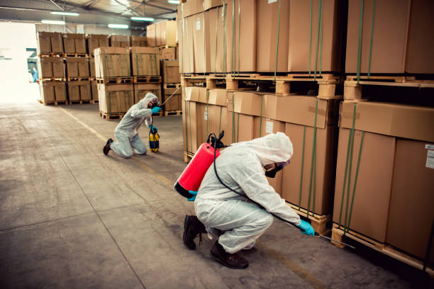 Best Cockroach Control Services  in Whitg, IN