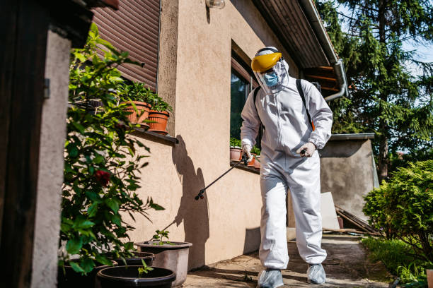 Best Local Pest Control Services  in Whitg, IN