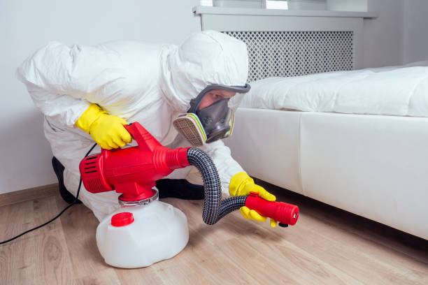 Best Wasp Removal Services  in Whitg, IN