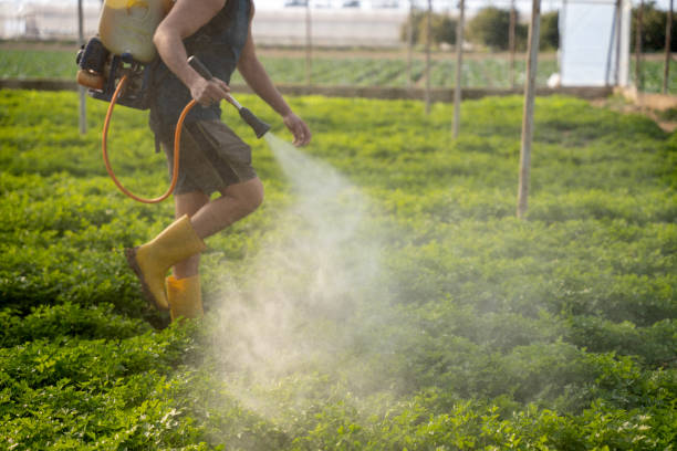 Best Insect Control  in Whitg, IN