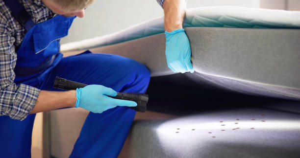 Best Best Pest Control Companies  in Whitg, IN