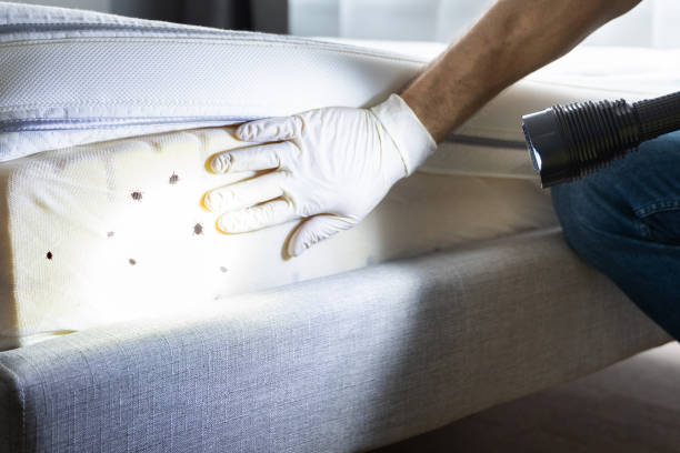 Best Wildlife Control Services  in Whitg, IN