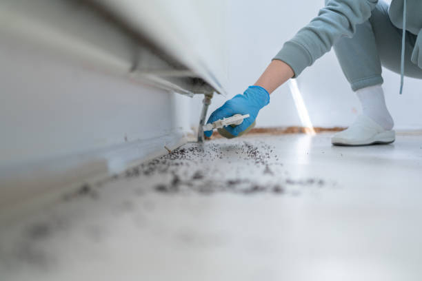 Best Best Pest Control Companies  in Whitg, IN